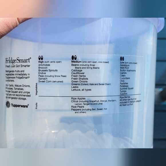 Large Tupperware Fridge Smart Fruit & Veggie Sheer Container with Lid - Picture 10 of 10